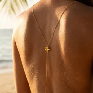 collier dos nu en acier inoxydable